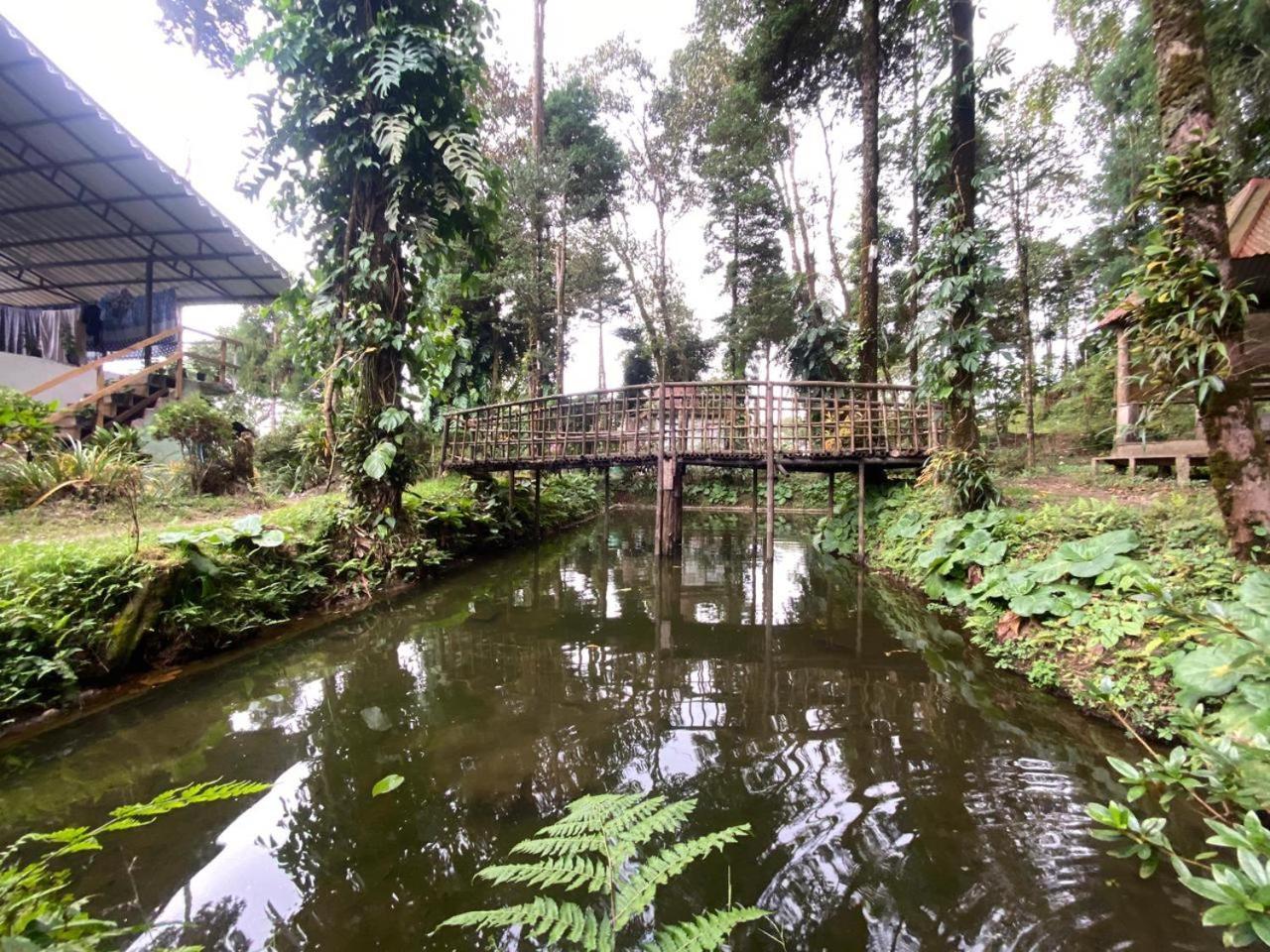 Magnolia Farmhouse And Homestay 大吉岭 外观 照片