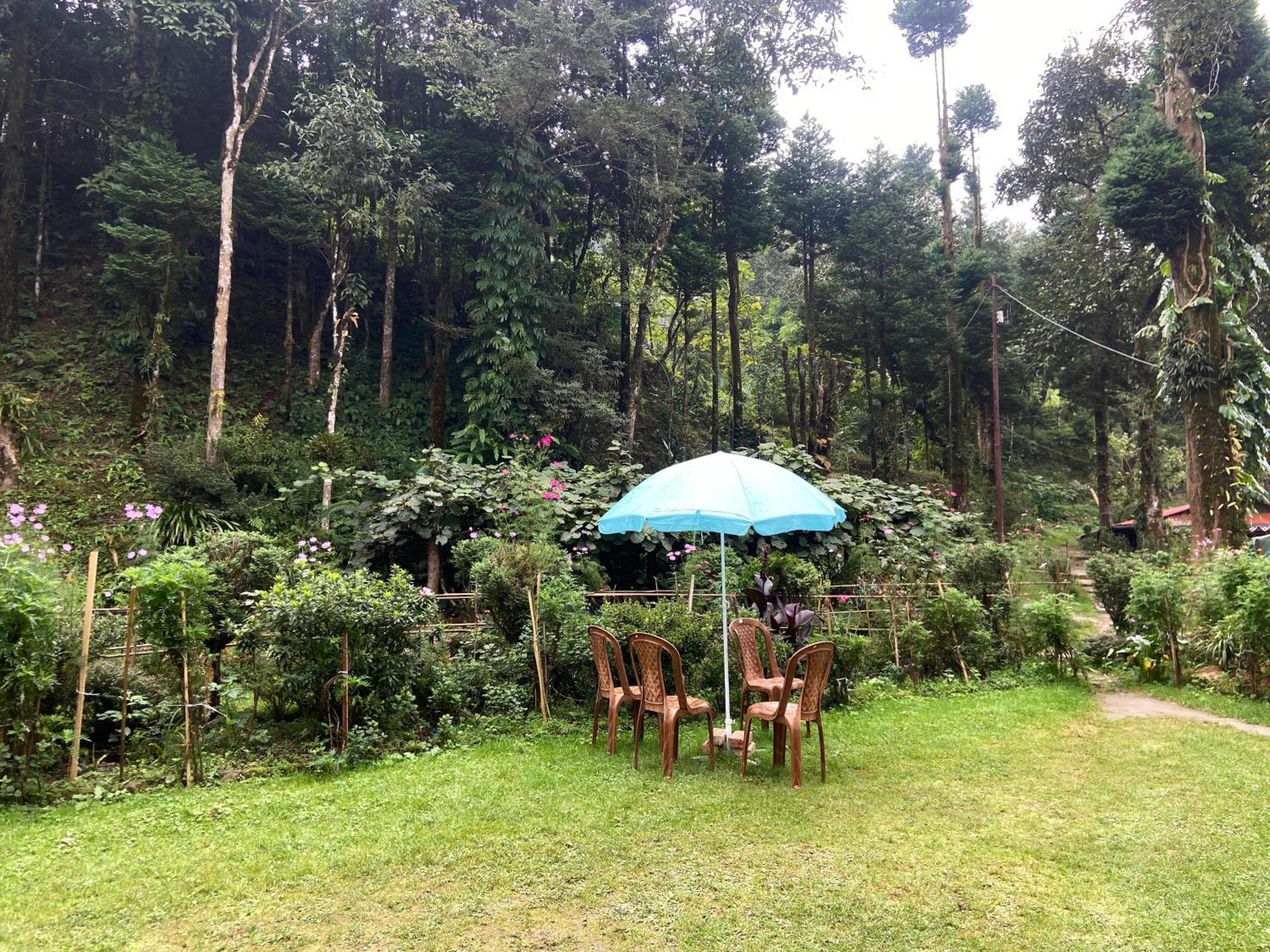 Magnolia Farmhouse And Homestay 大吉岭 外观 照片